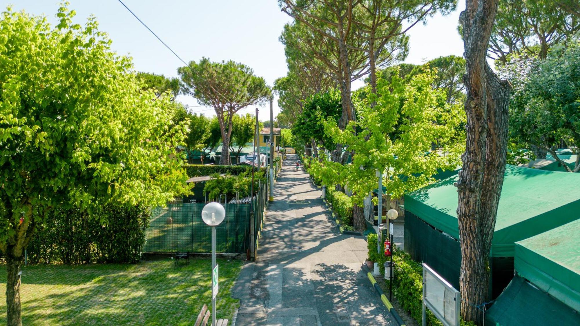 Camping Apuano Marina di Massa Extérieur photo